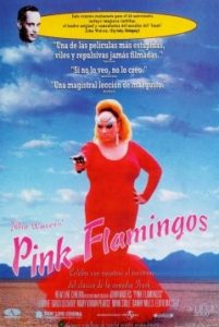 Pink Flamingos