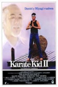 Karate Kid 2