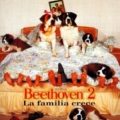 Beethoven 2