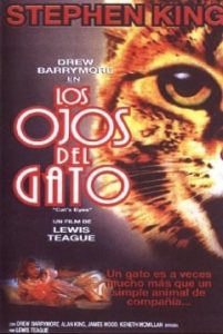 El Ojo del Gato