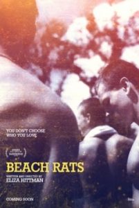 Ratas de Playa