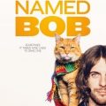 Un Gato Callejero Llamado Bob