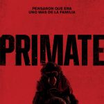 Primate