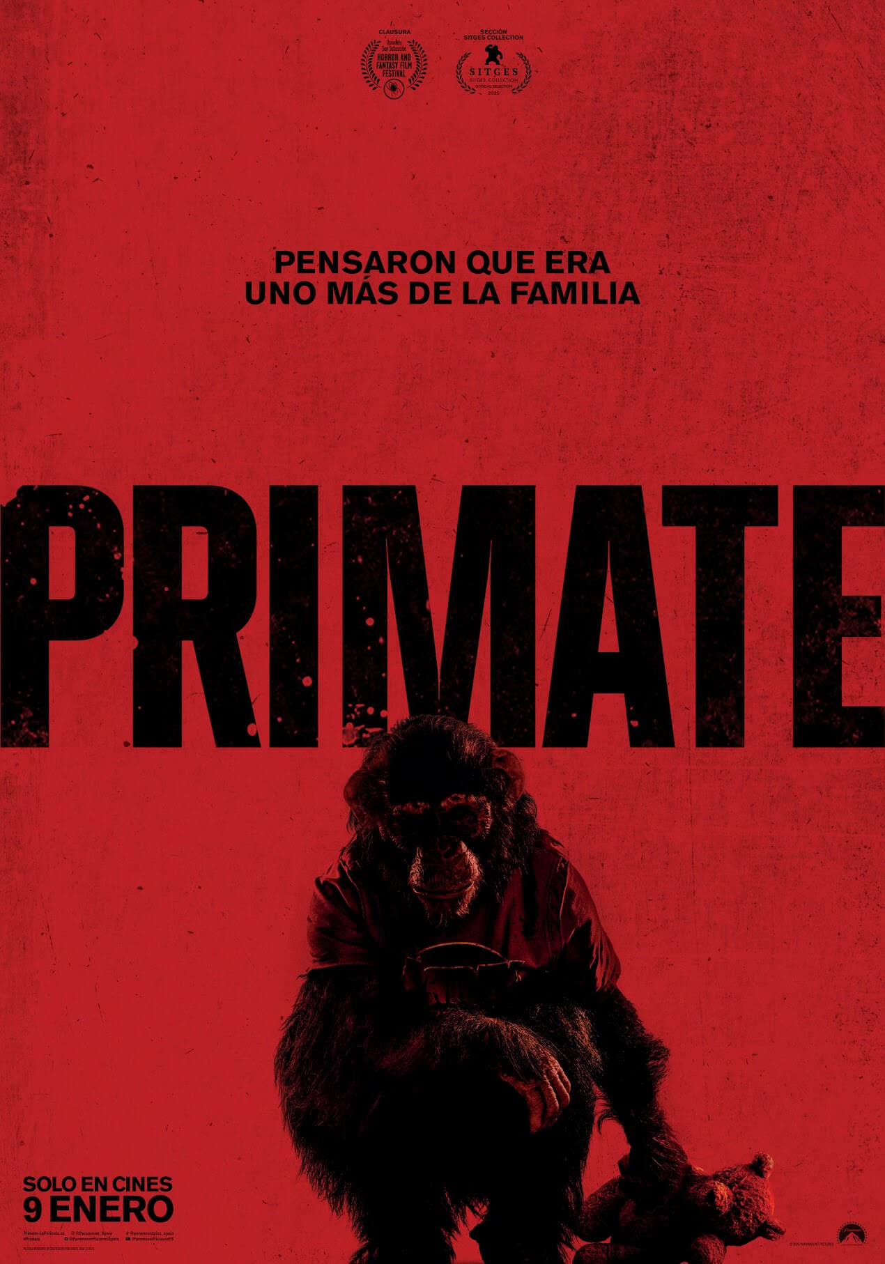 Primate